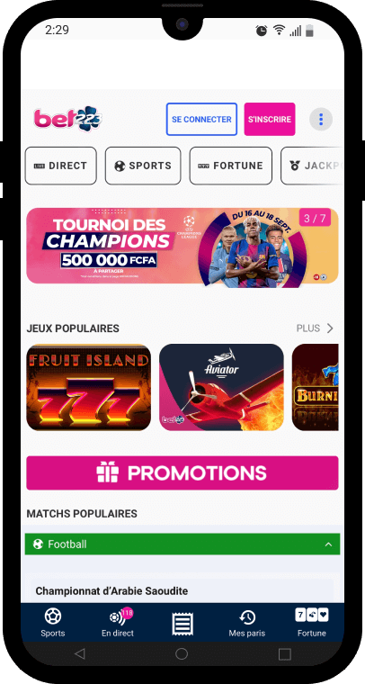 Interface de l'application bet223